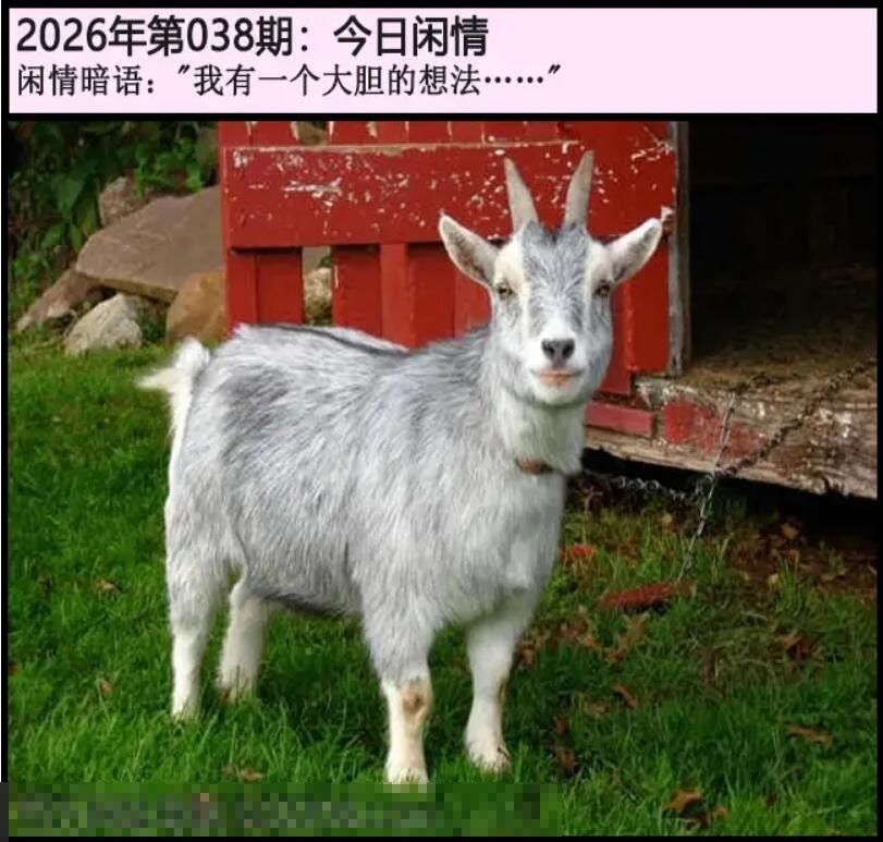 038期另版今日闲情[图]